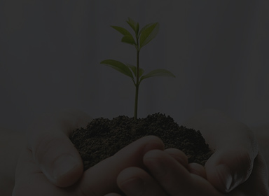 008PG国际(中国区)-官方网站